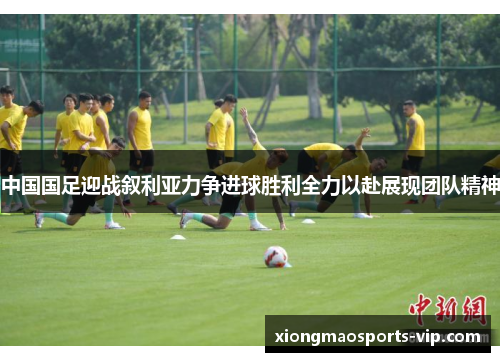 中国国足迎战叙利亚力争进球胜利全力以赴展现团队精神